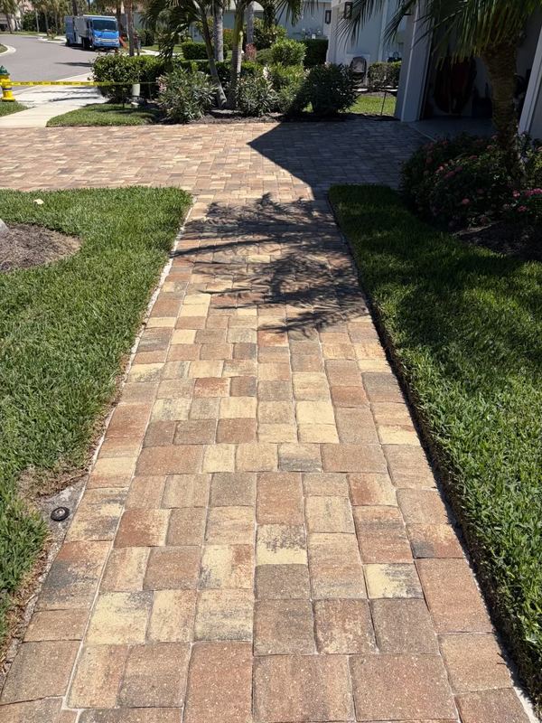 Side walkway pavers cleaned and sealed